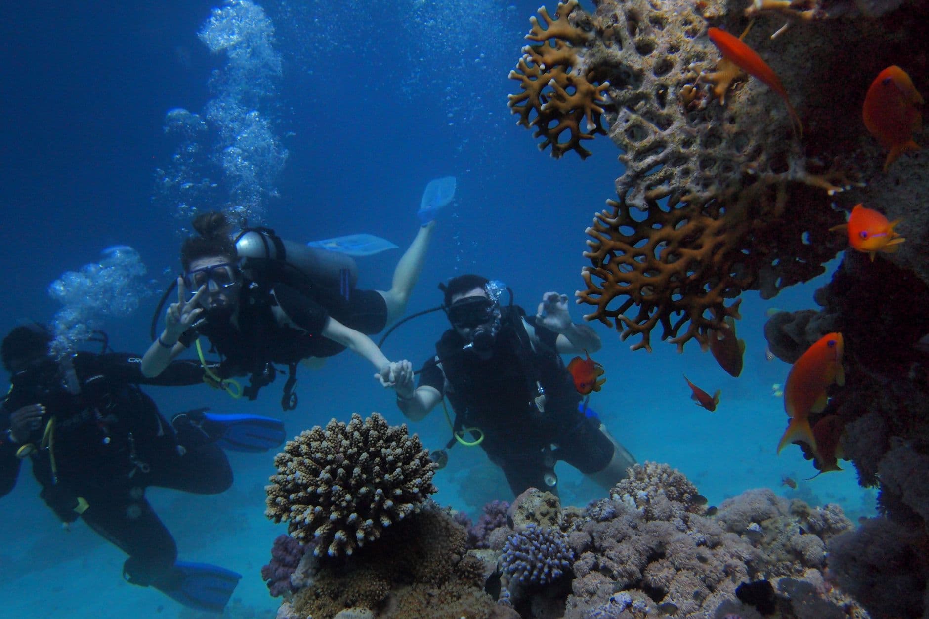 Is Scuba Diving in the Red Sea Worth It?