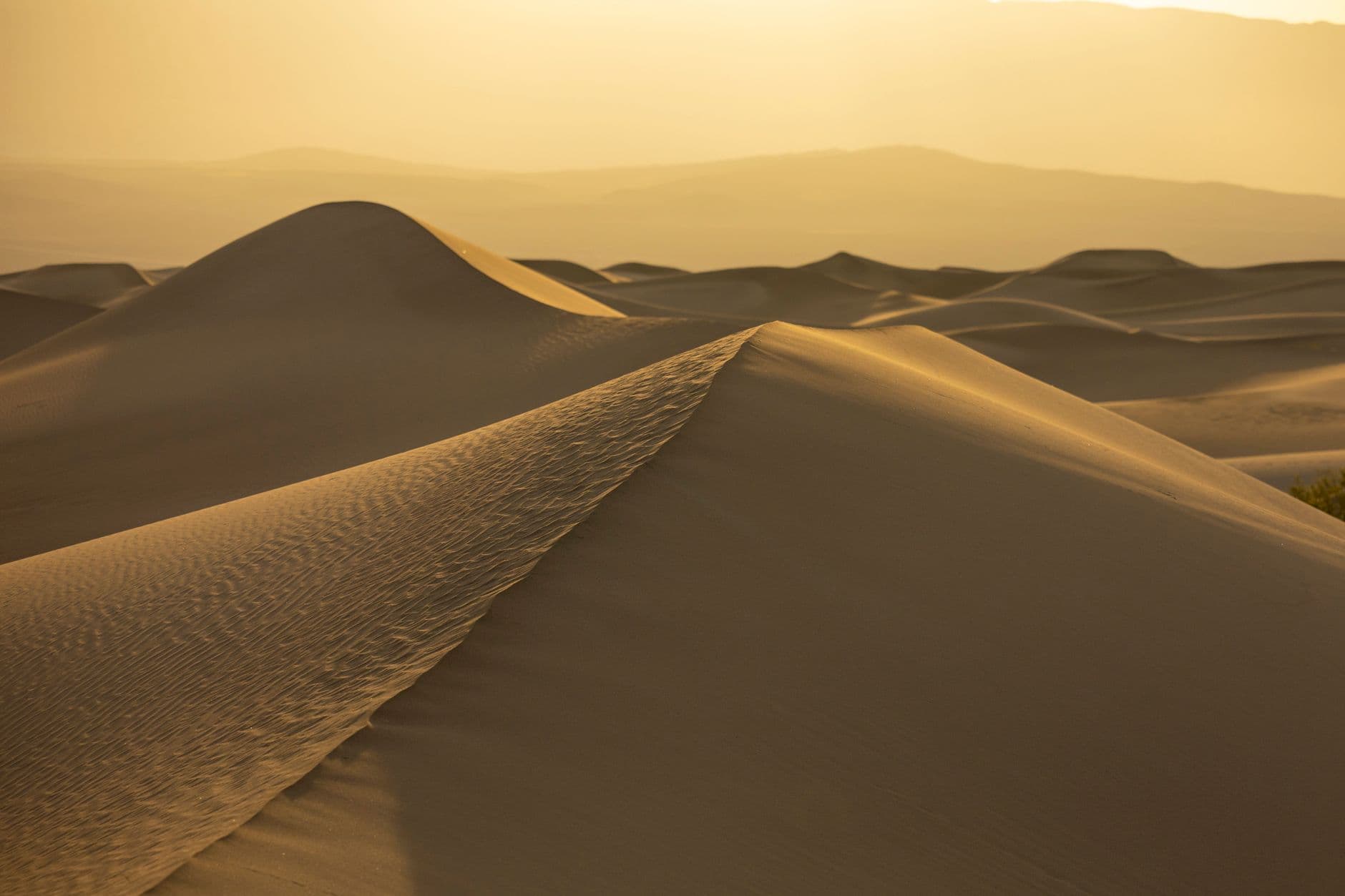Wadi El Hitan: The Desert Full of Fossil Whales