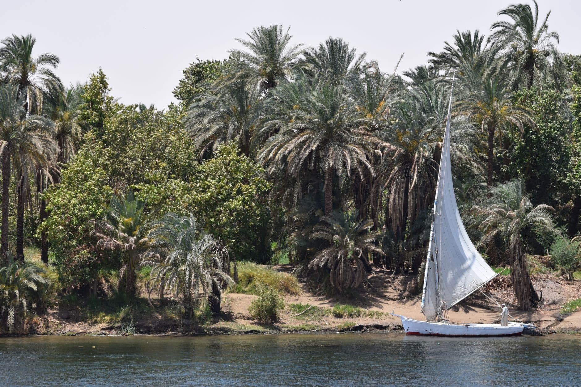 Private Yacht Nile Cruise: Luxor to Aswan