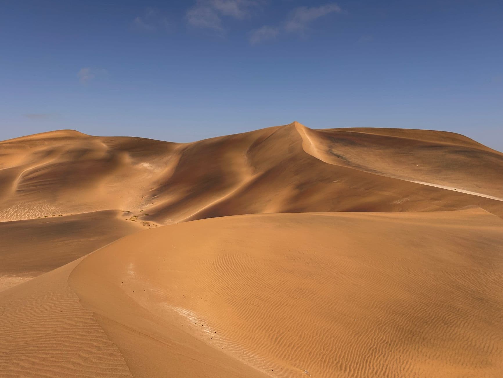 Whale Valley Fossil Safari: Wadi El Hitan