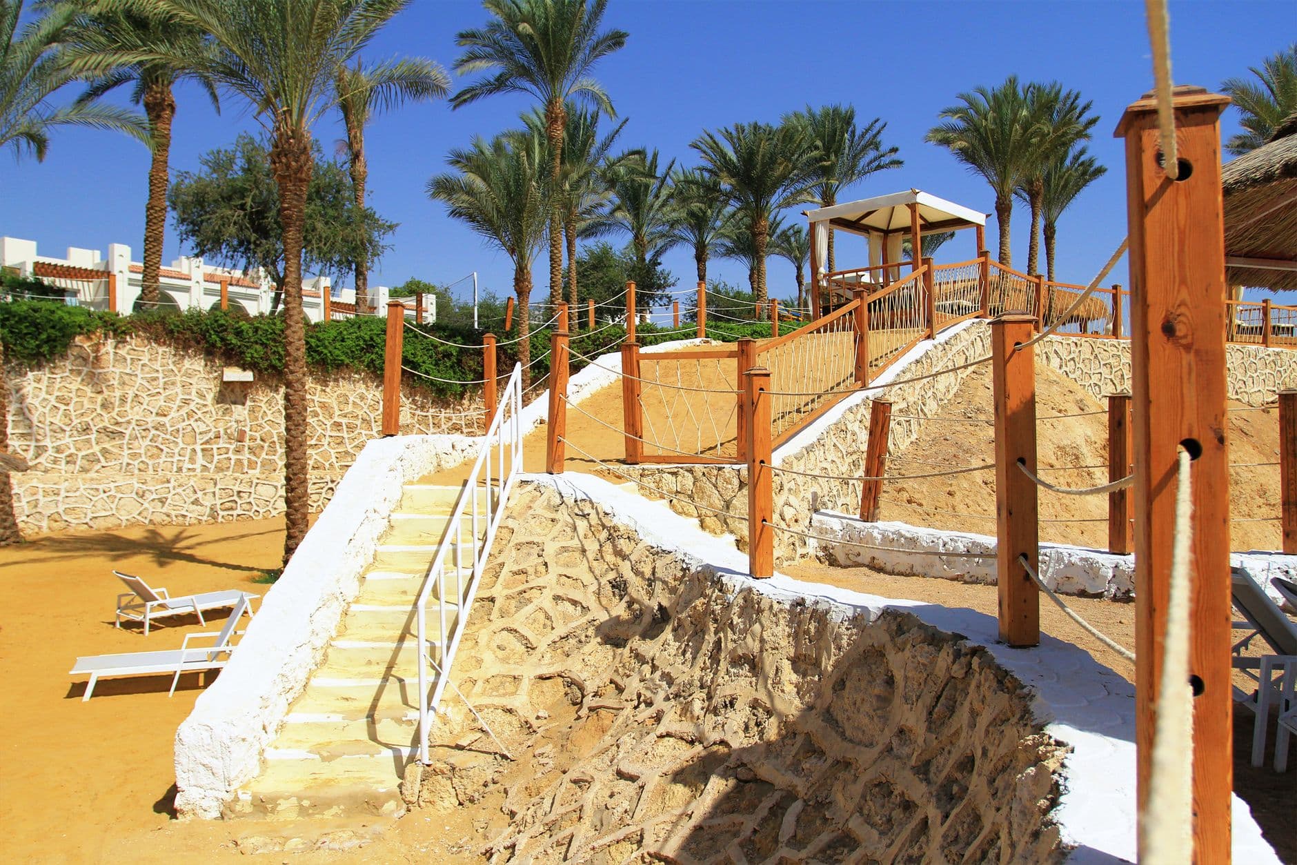 The Western Desert Oases: Siwa, Bahariya, Dakhla, and Kharga