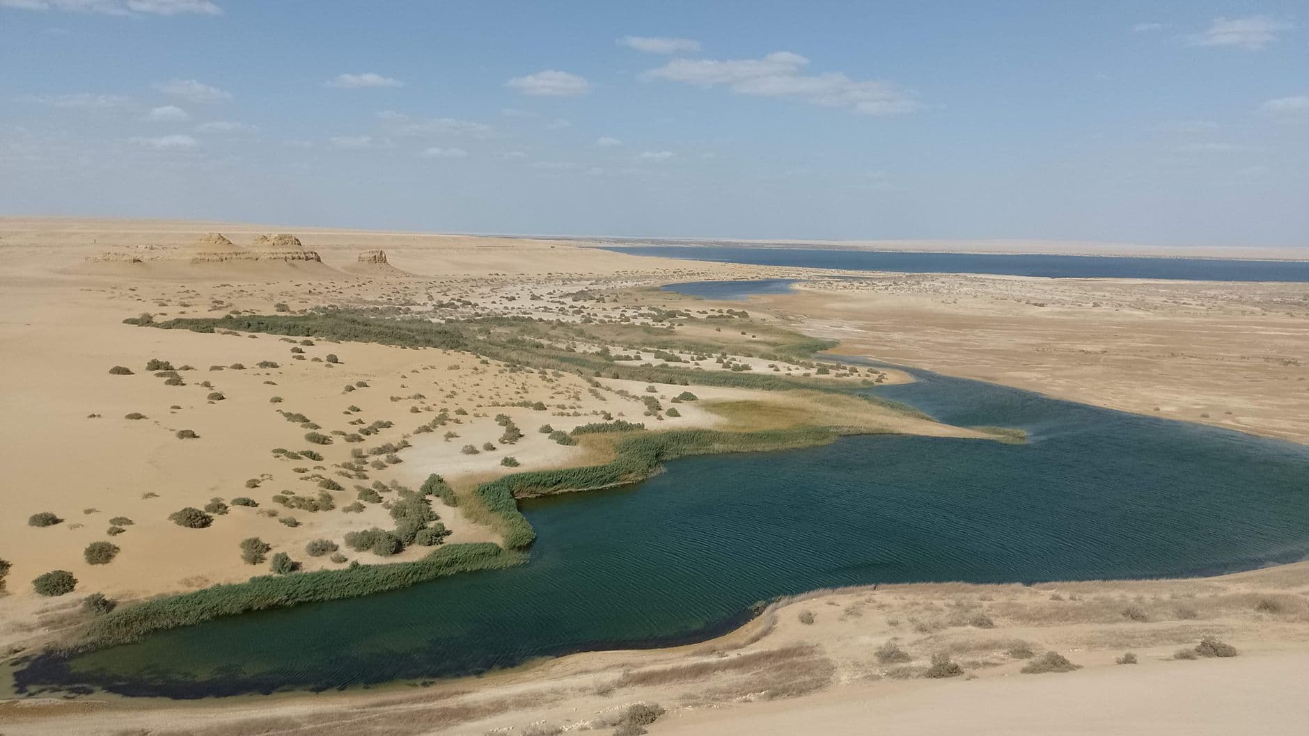 Fayoum